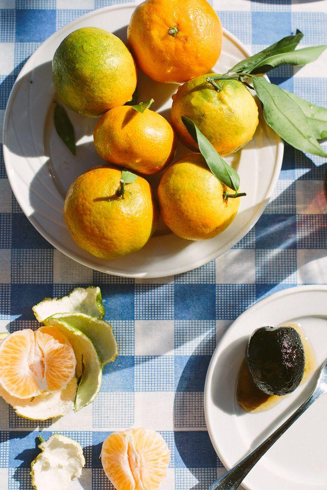 Country Patch Picks: Assorted Vegetable Delight