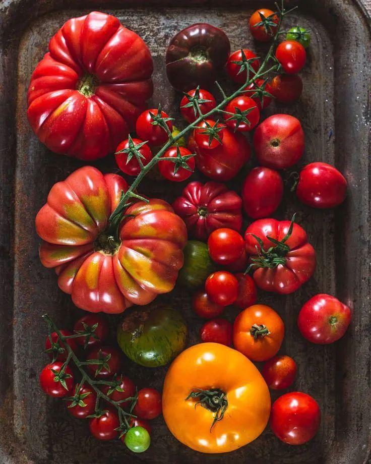 Harvest Bounty: Seasonal Veggie Medley